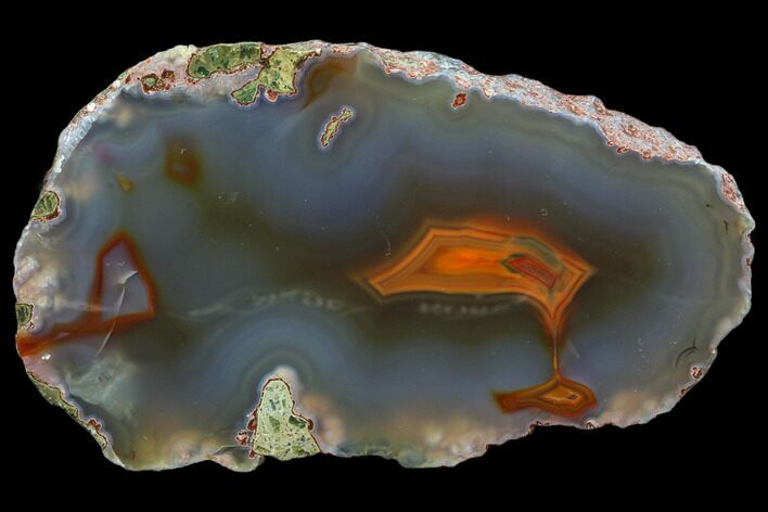 Beautiful Condor Agate From Argentina - Slab #79481